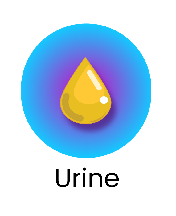 Human Urine Parasite Screen